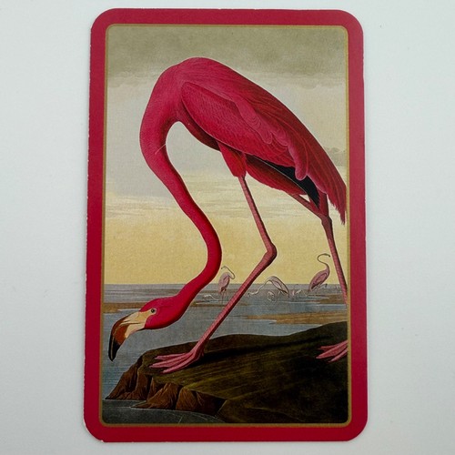 Caspari Audubon Birds Flamingo Heron Playing Cards 2 Decks - Picture 3 of 15