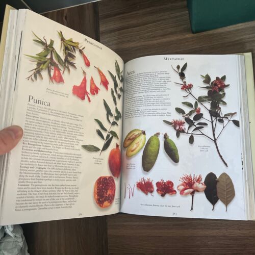 The Botanical Garden, by Roger Phillips & Martyn Rix - 2 Vol's Hardback Slipcase - Imagen 6 de 10