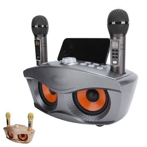SD306Plus Bluetooth Karaoke Machine Wireless Speaker 2X Microphone Home KTV USB - Bild 10 von 18