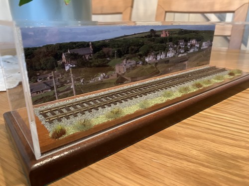 Display Case For Hornby - Model Train Loco with fixed track,scenics And Backdrop - Picture 6 of 12
