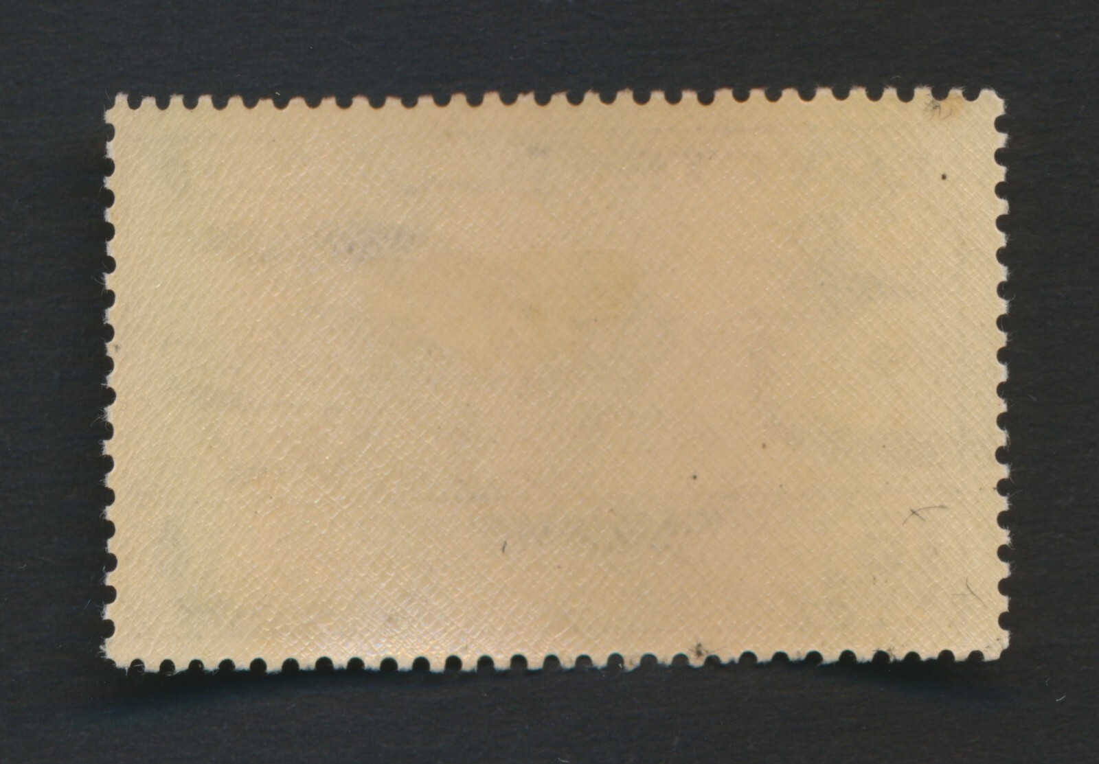 Bild 14 von 24