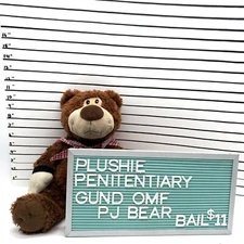 Gund Original Mattress Factory PJ Bear Plush Brown Advertising Promo No Hat 13”