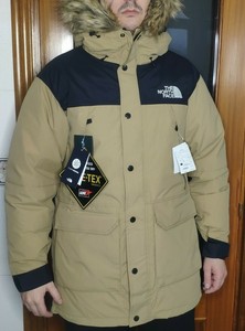 the north face mountain down jacket