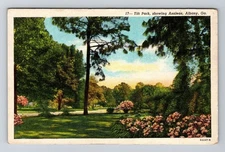 Albany GA-Georgia, Tift Park Azaleas, Vintage Postcard
