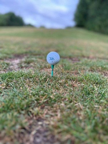 Ice Tee-Not A Castle Tee-Premium 70mm Bamboo Golf Tee With Orange, Pink, Blue & - Picture 5 of 5