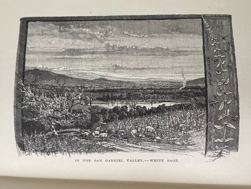 The Mountains of California John Muir 1894-1st Yosemite Sierra Nevada USA READ - Picture 22 of 24