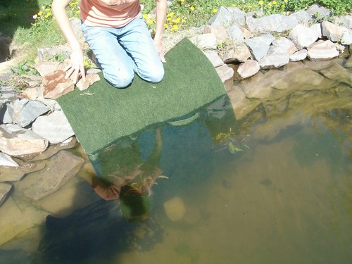 5 X Pflanztasche für Teichpflanzen Teich  mit 4 Taschen Angebot  - Bild 6 von 7