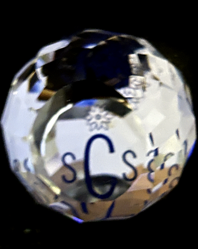 Vintage Swarovski Crystal Collectors Society SCS Paperweight Charter Member Gift - Afbeelding 1 van 6