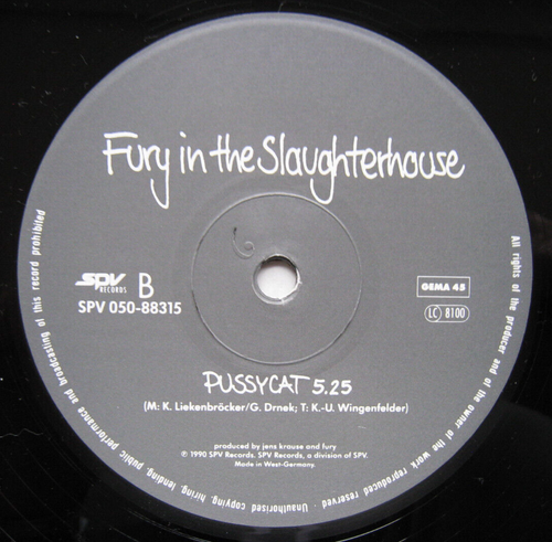 FURY IN THE SLAUGHTERHOUSE – Won't Forget These Days 12" 1990 - VERY GOOD PLUS ! - Bild 4 von 4
