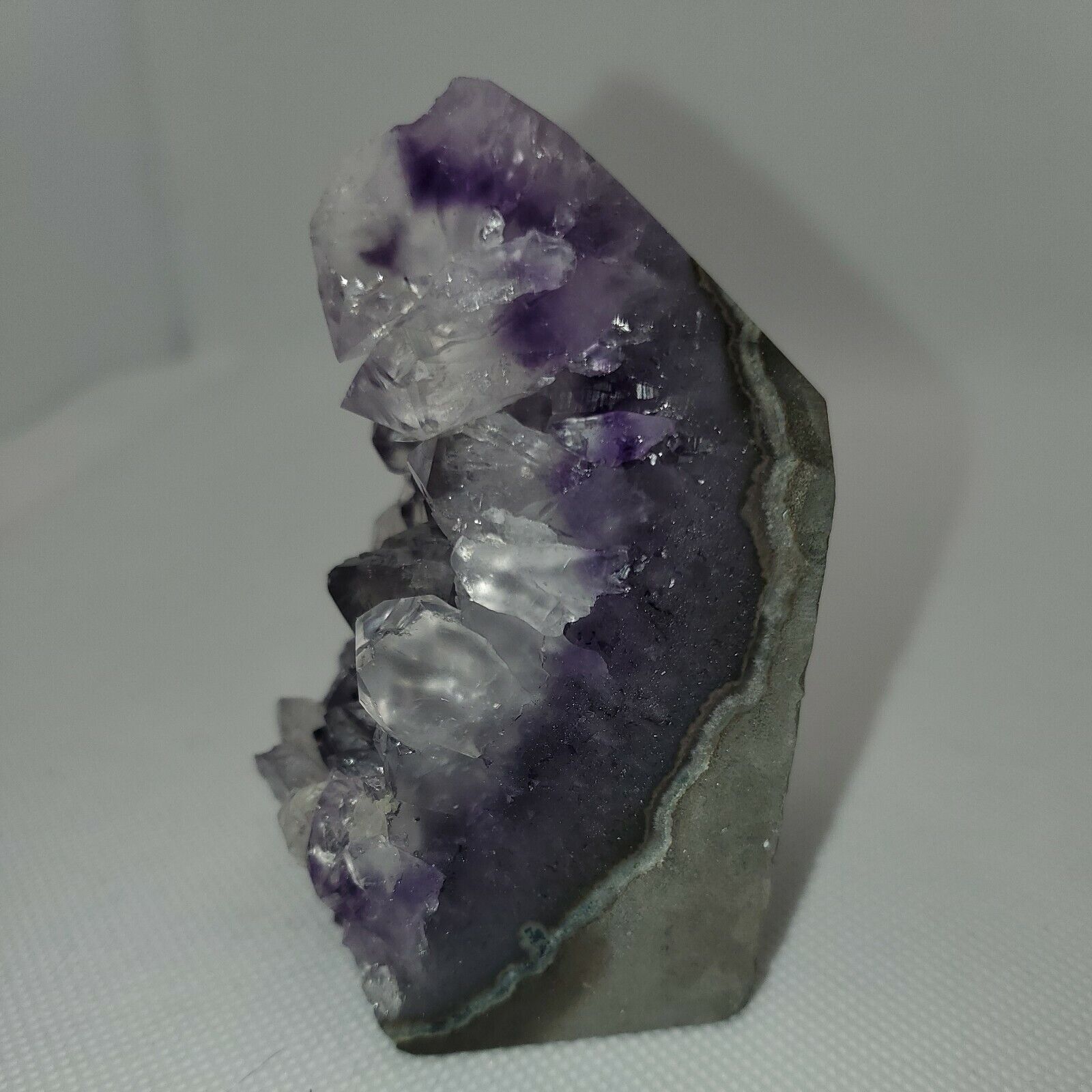 Picture 5 of 12