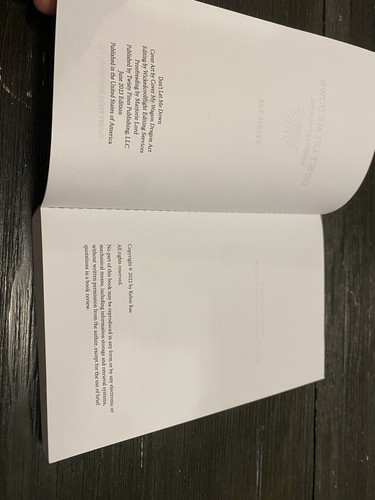 Dont Let Me Down - Paperback By Rae, Kelsie - VERY GOOD - Picture 9 of 10