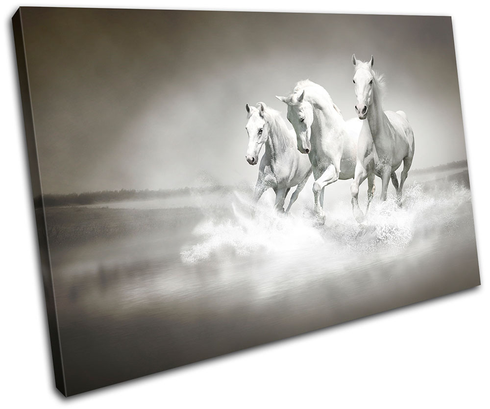 Herd Horses Animals SINGLE Leinwand Wand Kunst Bild drucken Herd Horses Animals SINGLE Leinwand Wand Kunst Bild drucken