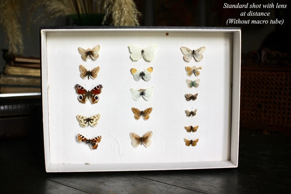 Super Macro SONY NEX E Mount DSLR fit Close Up Zoom Lens Kit NEX-5 3 F5 5R VG20 - Image 4 of 4