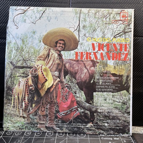 Vicente Fernandez / El Hijo Del Pueblo / Vinyl Record LP 33 Rpm II - Foto 2 di 4