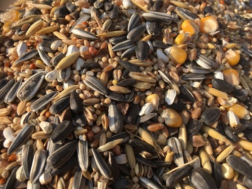 10 kg Premium alimento para aves para aves silvestres alimento para todo el año - Imagen 3 de 4