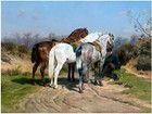 Horses Hunting Road R. Bonheur Tile Mural Kitchen Wall Backsplash Marble Ceramic