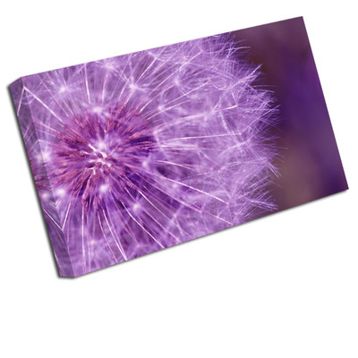 Canvas print Wall art on 125x50 Image Picture Dandelion Floral