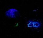 Bild 3 von 11