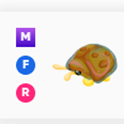 Adoptiere heute von mir! Mega Neon Fly Ride MFR/NFR/FR | AM SELBEN TAG - Bild 200 von 251