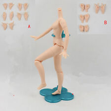 New Body Hands Set B 4 Pairs 12/" Blythe Factory Nude doll Custom Use