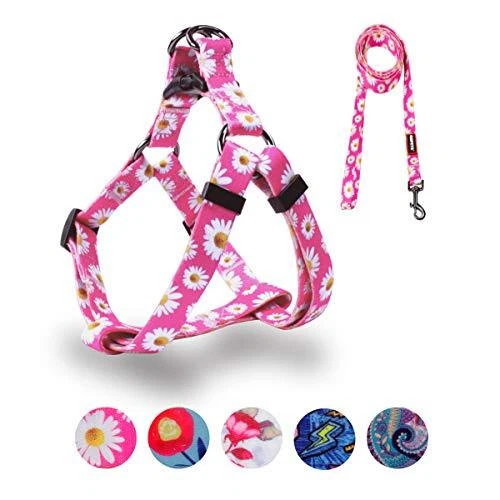 Dog Harness Leash Set Adjustable Heavy Duty No S(14"-20" Chest Girth) Daisy Dog Harness Leash Set Adjustable Heavy Duty No S(14"-20" Chest Girth) Daisy