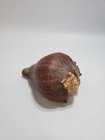 Picture 1 of 3
