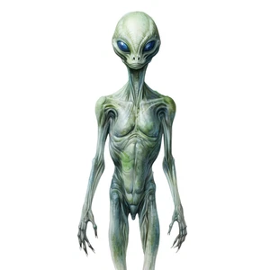 Aliens UFO Space Alien Life Star World Self Adhesive Warning Sticker