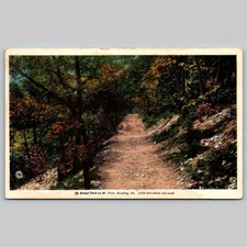 Postcard The Bridal Path on Mt. Penn Reading PA 1000 Feet Above Sea Level