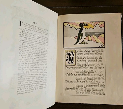 Rare 1901 1st ed. An Alphabet of Birds Gertrude Keeley R.J. Campbell Illust Book - Picture 4 of 9