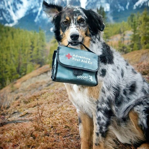 First Aid Kit 54 Piece Medical Supply Set For Dogs and People Safety Travel Bag - Picture 3 of 7