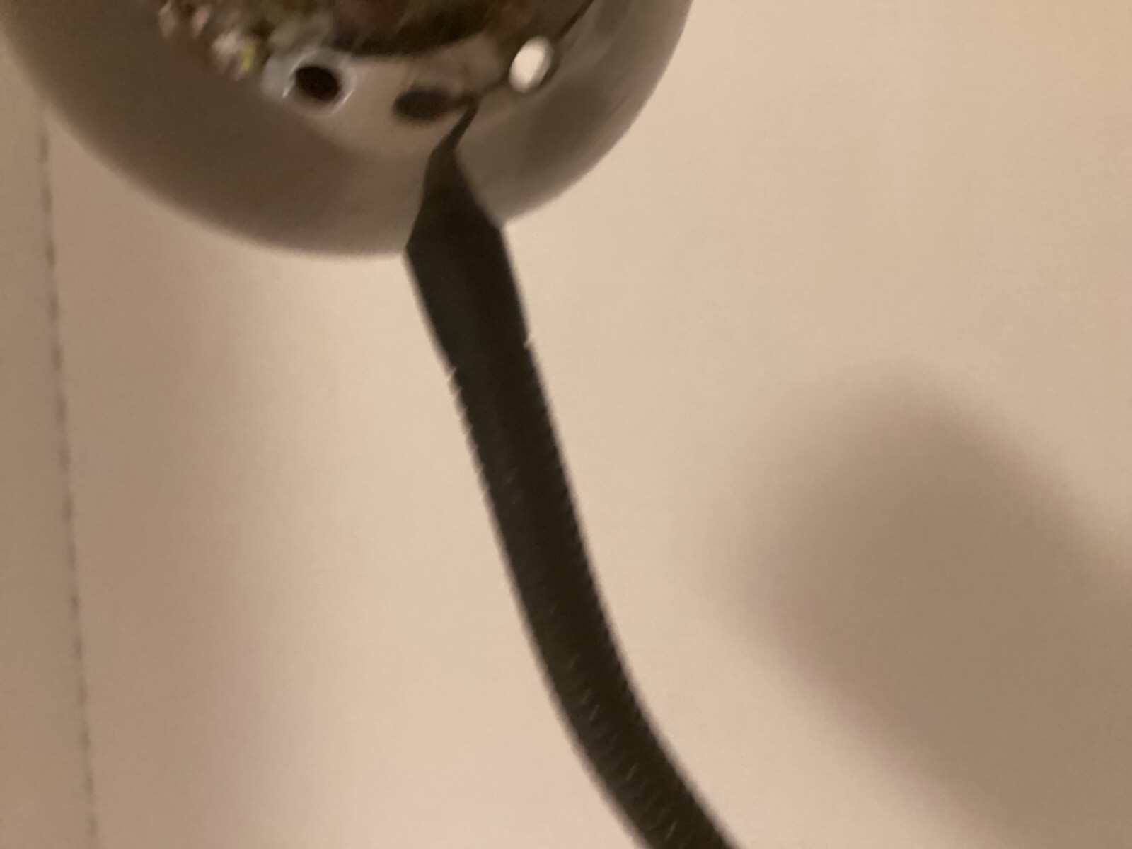 Picture 6 of 18