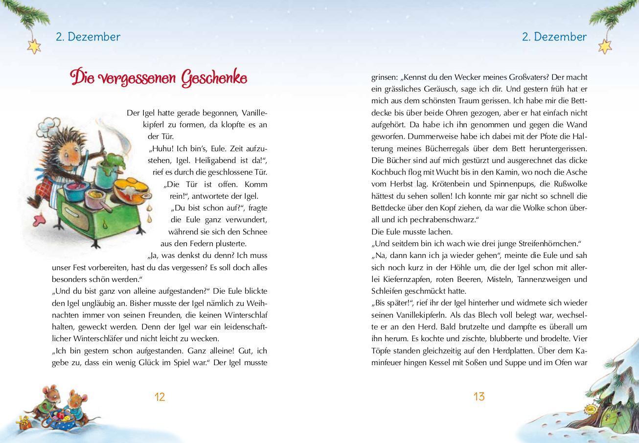 Thumbnail - Michael Heger | Igels Schönstes Weihnachtsfest | Buch | Deutsch (2020)