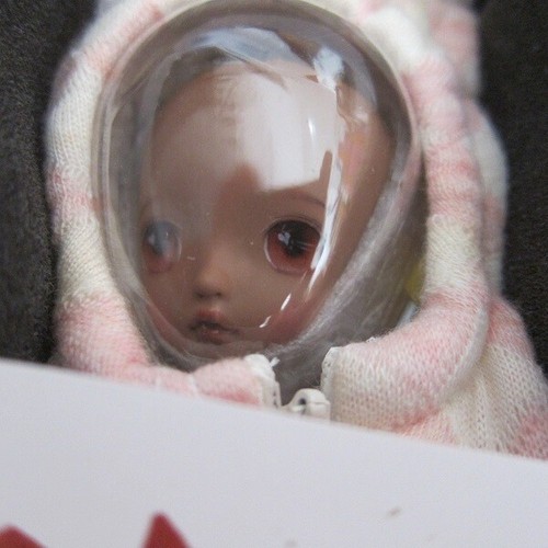 BJD Rosenlied Limited Monday's Child Fairy Cuento Pudín - Calabaza rodante versión 2 - Imagen 8 de 10