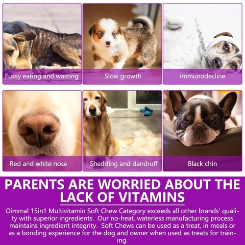 15 in 1 Multivitamin Dog Vitamin Supplement Chews for Hip Joint Coat XL 150 Tub - Picture 2 of 13