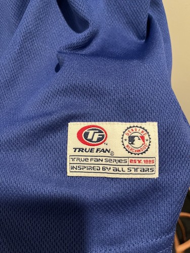 Chicago Cubs Adult Jersey True Fan Stitched Blue National League No Name Size XL - Picture 4 of 4