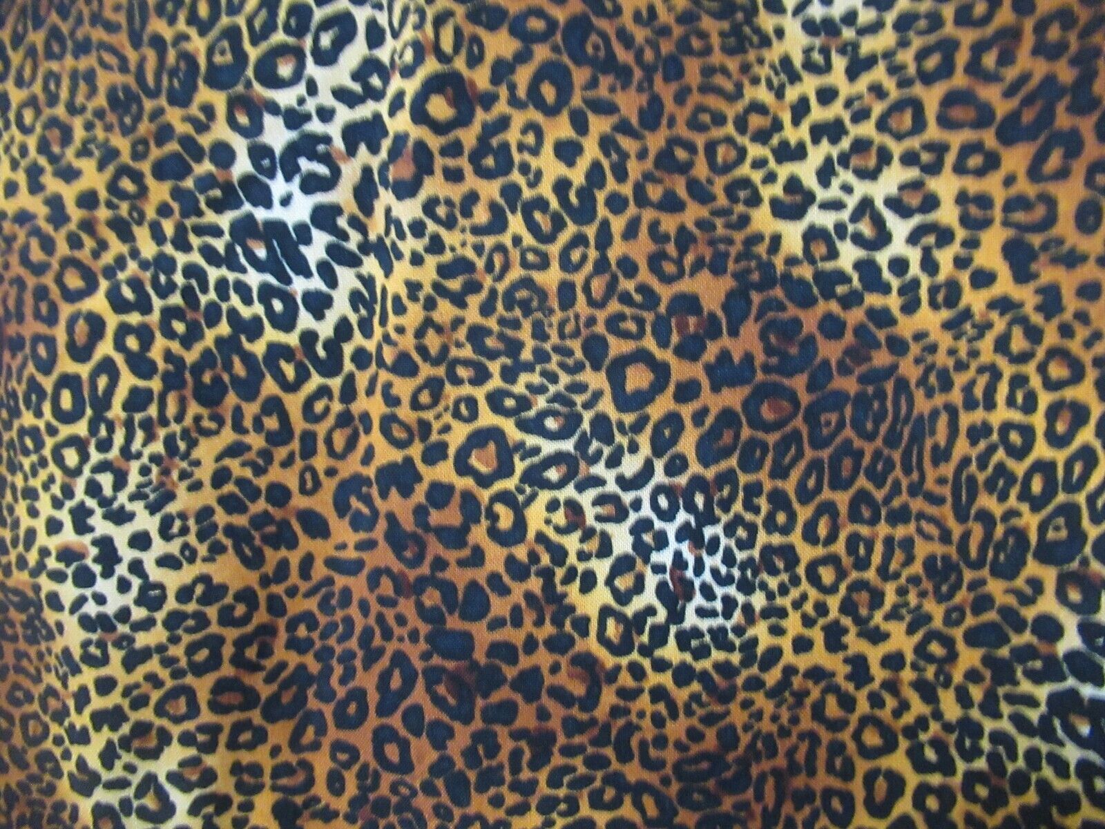 Foto 6 di 8