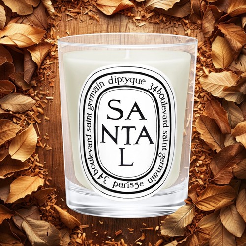 Diptyque Scented Classic Candle 6.5 oz new in box with gift bag - Picture 32 of 40