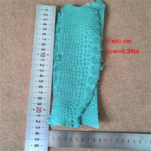 Real Alligator Skin Crocodile Belly Leather Exotic Pelts Taxidermy Craft Scraps - Picture 6 of 17