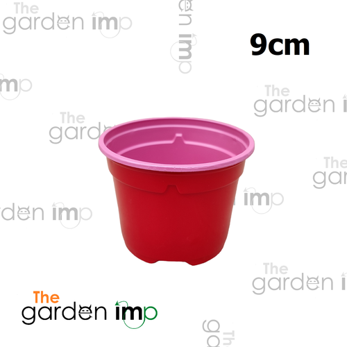 Coloured Plant Pots Plastic Round Bright Glossy Grower Pot 9cm 10.5cm 13cm | x20 - Picture 28 of 41