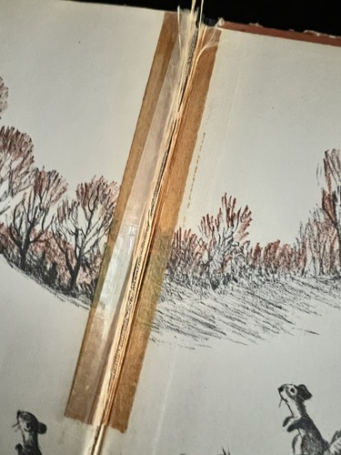 Vary Rare Crunch the Squirrel by Elizabeth Anne Bond 1939 Book - Picture 6 of 6