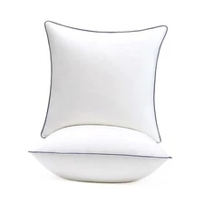 0x0 Pillow Inserts Set of Overfilled Down Alternative Decorative 20x20 Inch 2