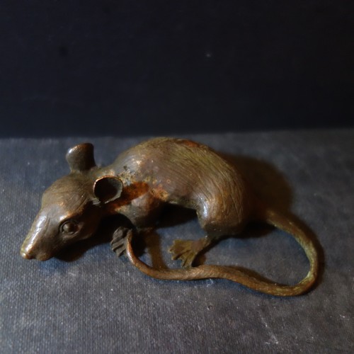 fino bronce fundido de una rata - Imagen 4 de 10