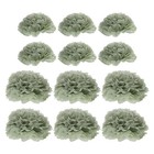  24 Pcs Green Tissue Paper Flowers Party Decorations Pom Poms Baby Shower
