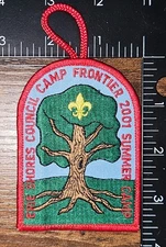 Erie Shores Council Camp Frontier 2001 Summer Camp BSA Patch