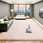 Luxury Fluffy Rug for Living Room, 5x7 Soft Thick Large Area Rug for Bedroom, 