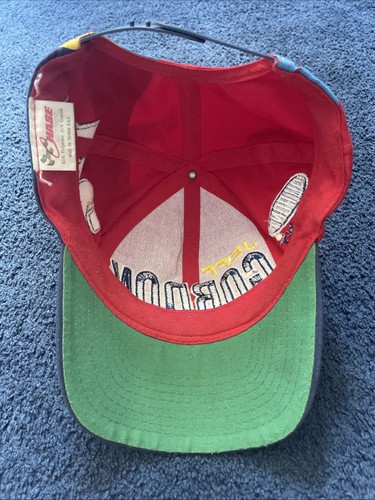 Vintage Jeff Gordon Chase Authentics Snapback Hat Cap Rainbow Wraparound NASCAR - Picture 5 of 6