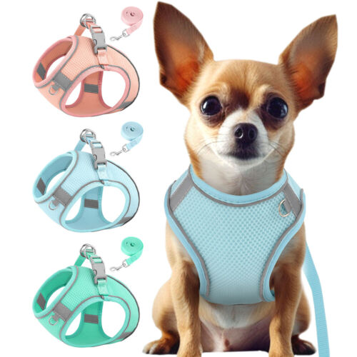 Soft Breathable Mesh Pet Dog Harness and Leash Reflective Puppy Cat Step In Vest - Afbeelding 1 van 23