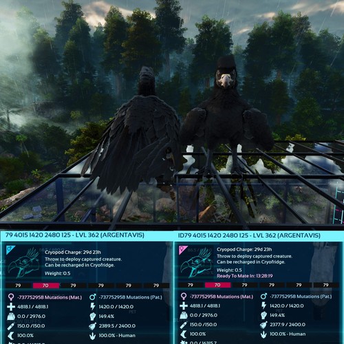 Ark Survival Ascended Pve Argentavis / Argy Max Level 362 - Picture 16 of 29