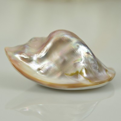 Gigantic Natural Wild Freshwater Blister Pearl In Shell China Extremely Rare Ebay - 