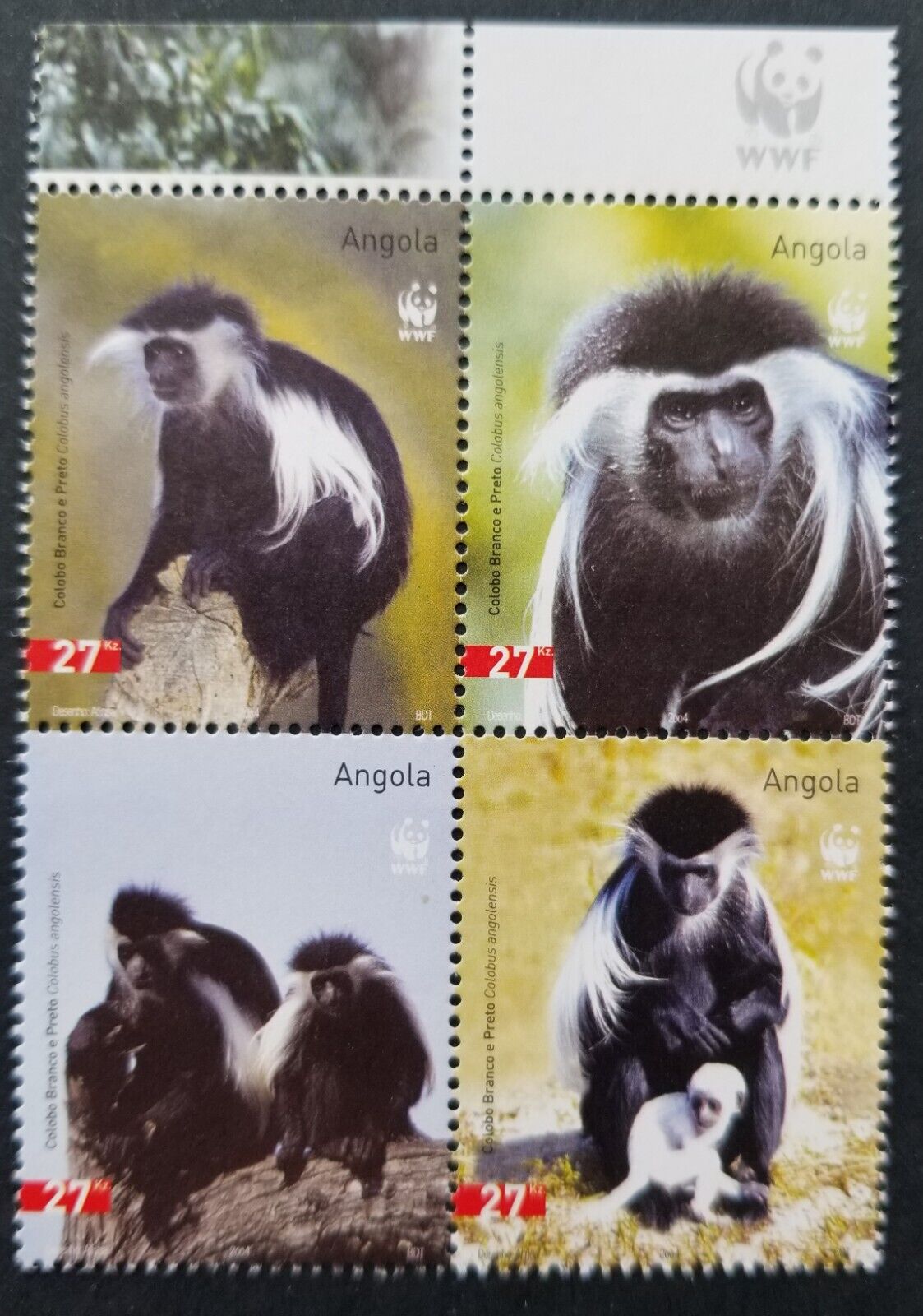 Colobus Monkey  African Wildlife Foundation